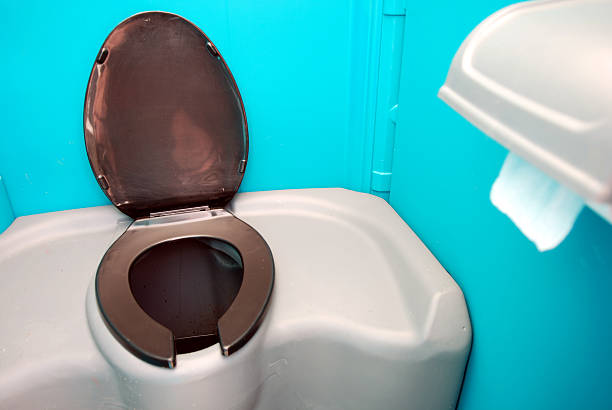 Best Sanitation services for porta potties  in Big Rapids, MI